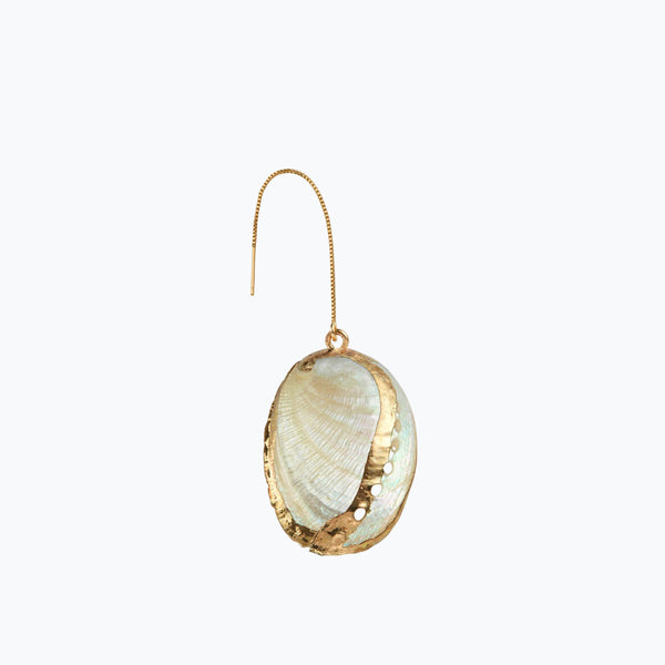 Tellin Sea Shell Earring