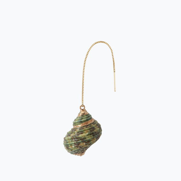 Green Spiral Sea Shell Earring