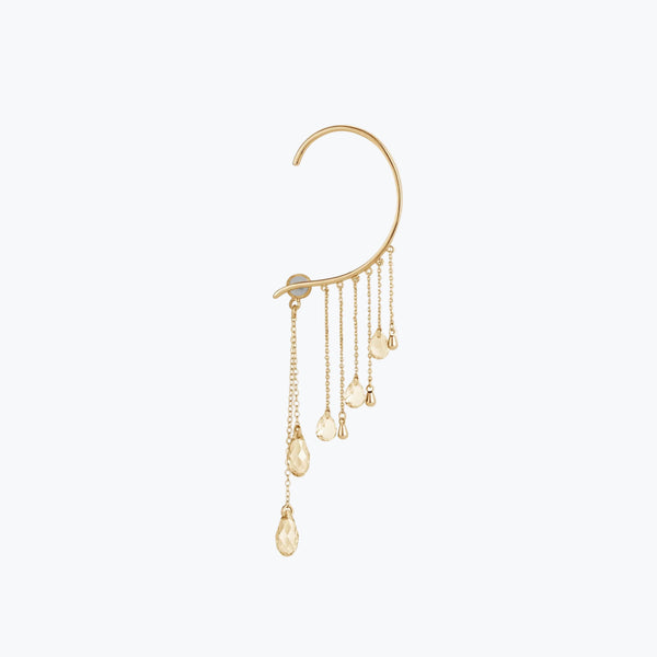 עגיל שנתפס על כל האוזן