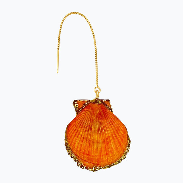 Orange Lioness Sea Shell Earring
