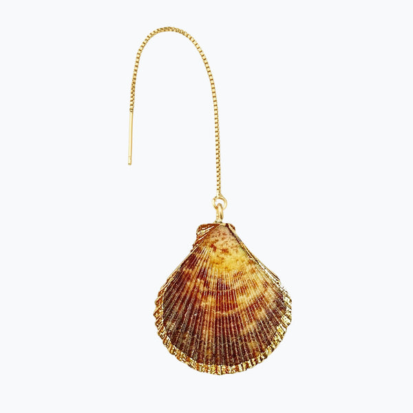 Earth Lioness Sea Shell Earring