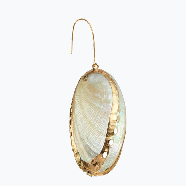 Large Tellin Sea Shell Earring