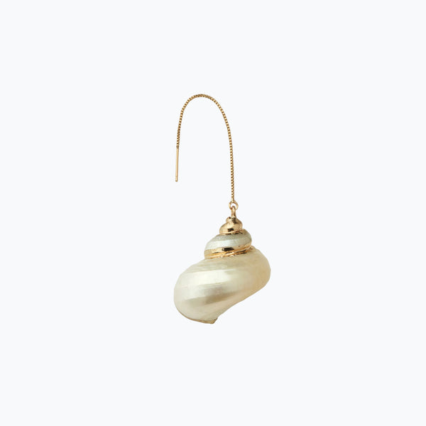 Spiral Sea Shell Earring