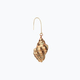 Sarasota Sea Shell Earring