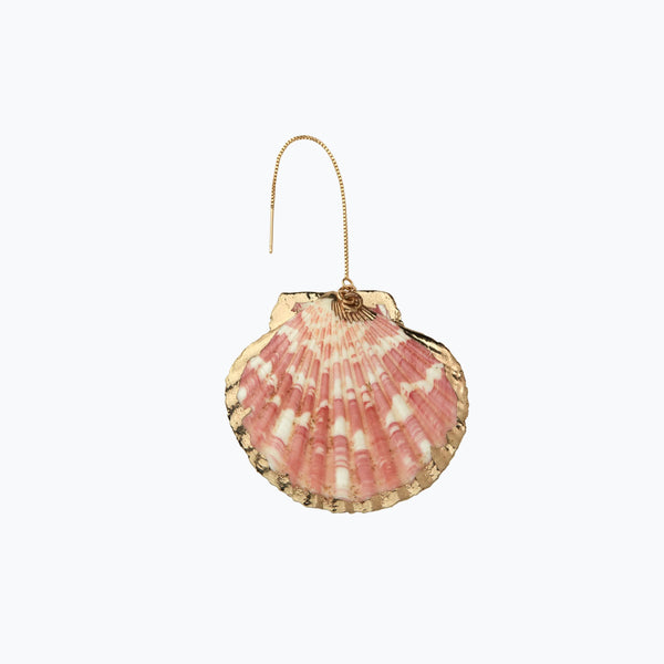 Lioness Sea Shell Earring