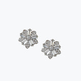 Pierre Earrings | Silver