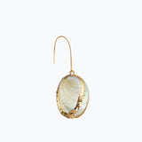 Tellin Sea Shell Earring