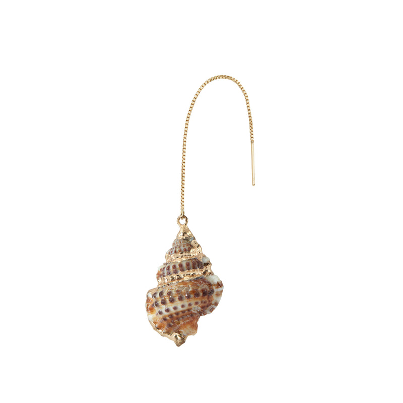 Earth Tulip Sea Shell Earring