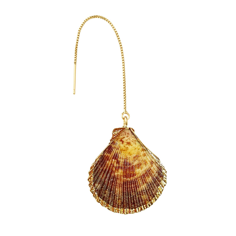 Earth Lioness Sea Shell Earring