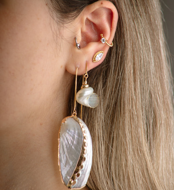 Large Tellin Sea Shell Earring