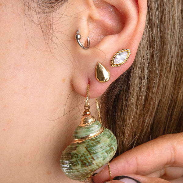 Green Spiral Sea Shell Earring