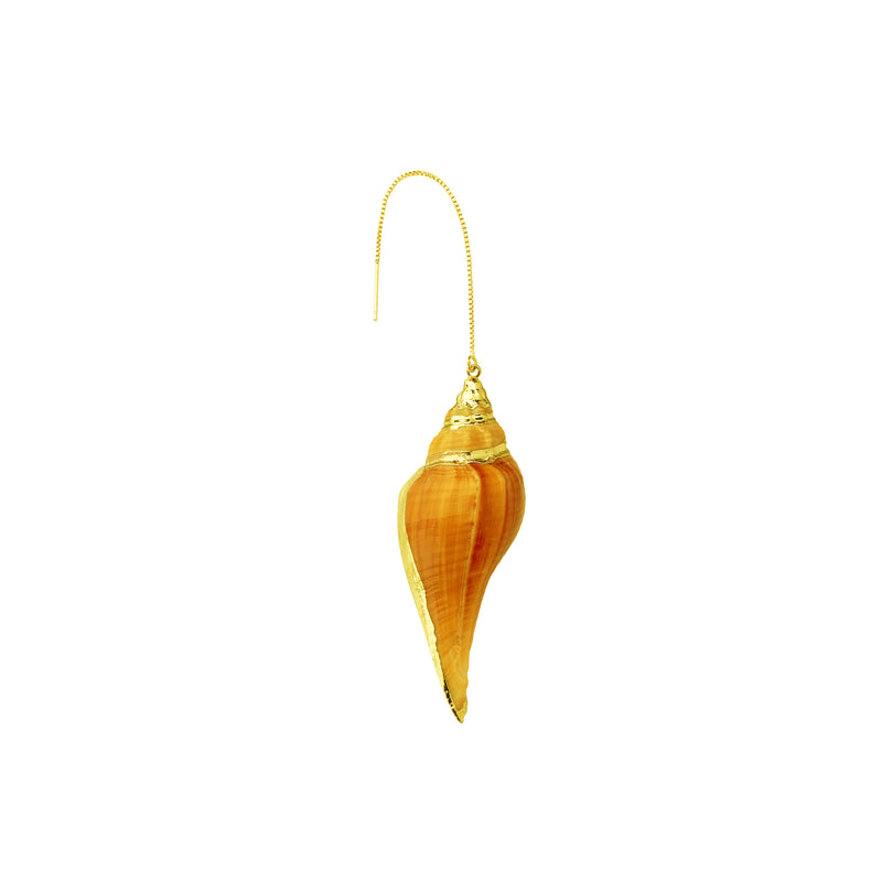 True Tulip Sea Shell Earring | LIGHT
