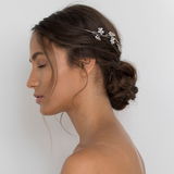 Hera Crown