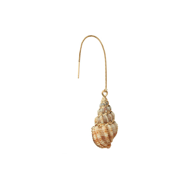 Tulip Sea Shell Earring