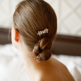 Lustrous Brooch | S